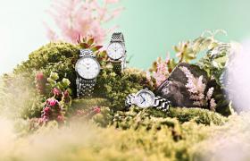 煥新時光：浪琴腕表表盤防銹秘笈大揭秘